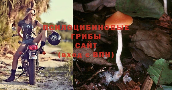 МДПВ Беломорск