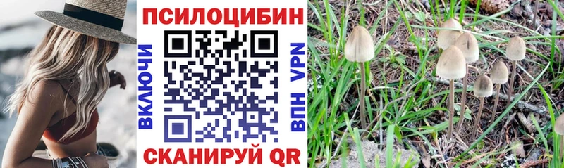 Галлюциногенные грибы Magic Shrooms  ссылка на мегу вход  Тольятти 